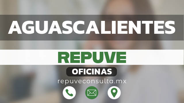 repuve aguascalientes